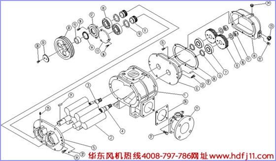 罗茨风机结构图.jpg