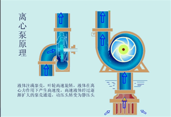 离心泵2.gif