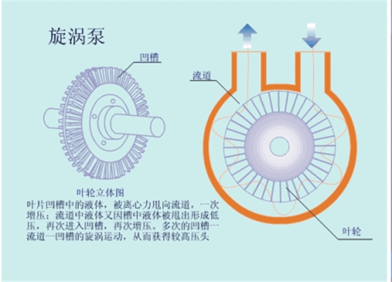 旋涡泵.gif