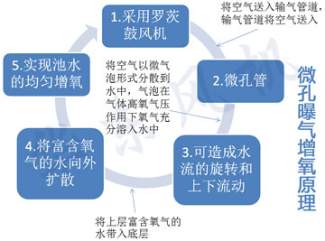 水产养殖罗茨风机原理