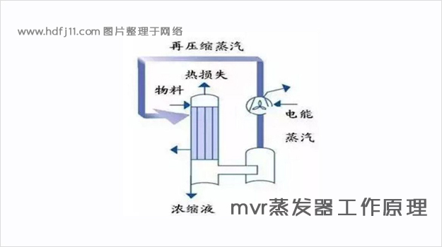 MVR蒸发器的工作原理.jpg