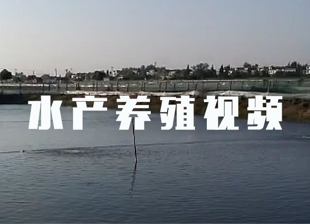 【视频】罗茨鼓风机水产养殖用 现场实拍