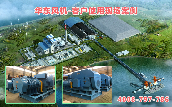 华东案例-印尼***燃煤电站项目